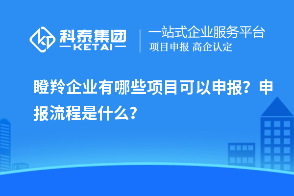 瞪羚企業(yè)有哪些項(xiàng)目可以申報(bào)？申報(bào)流程是什么？