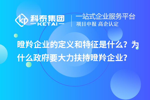 瞪羚企業(yè)的定義和特征是什么？為什么政府要大力扶持瞪羚企業(yè)？