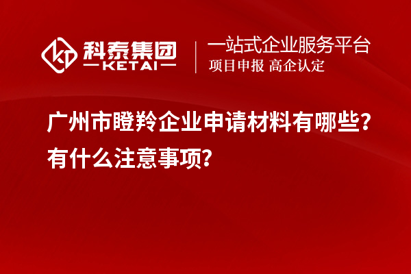 廣州市瞪羚企業(yè)申請材料有哪些？有什么注意事項(xiàng)？