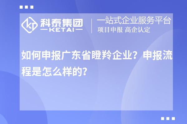 如何申報廣東省瞪羚企業(yè)？申報流程是怎么樣的？