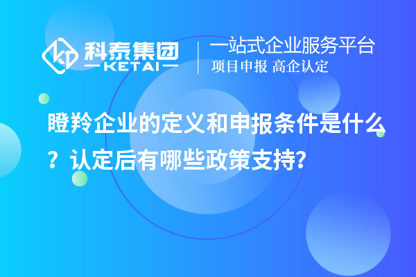 瞪羚企業(yè)的定義和申報條件是什么？認定后有哪些政策支持？
