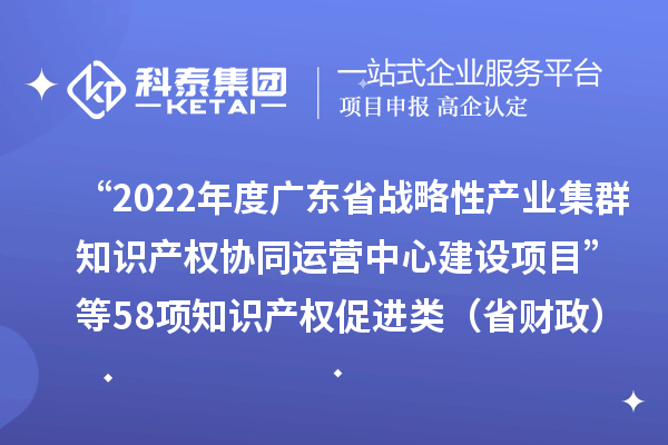 “2022年度廣東省戰(zhàn)略性產(chǎn)業(yè)集群知識產(chǎn)權(quán)協(xié)同運營中心建設(shè)項目”等58項知識產(chǎn)權(quán)促進類（省財政）項目驗收結(jié)果