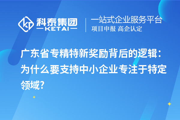 廣東省專精特新獎(jiǎng)勵(lì)背后的邏輯:為什么要支持中小企業(yè)專注于特定領(lǐng)域?