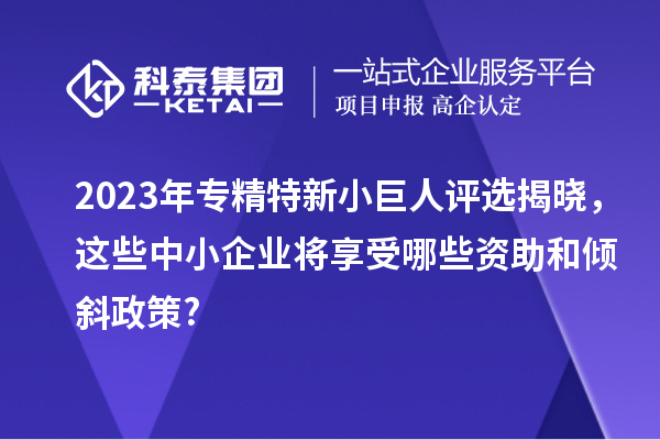 2023年專精特新小巨人評(píng)選揭曉，這些中小企業(yè)將享受哪些資助和傾斜政策?