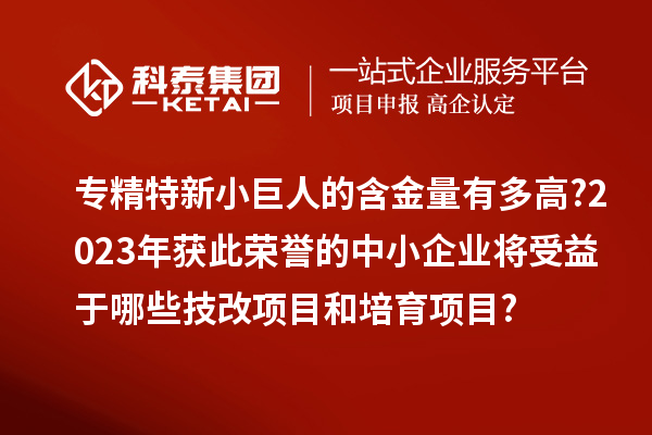 專精特新小巨人的含金量有多高?2023年獲此榮譽(yù)的中小企業(yè)將受益于哪些技改項目和培育項目?