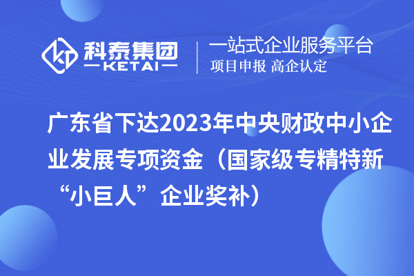 廣東省下達2023年中央財政中小企業(yè)發(fā)展專項資金(國家級專精特新“小巨人”企業(yè)獎補)