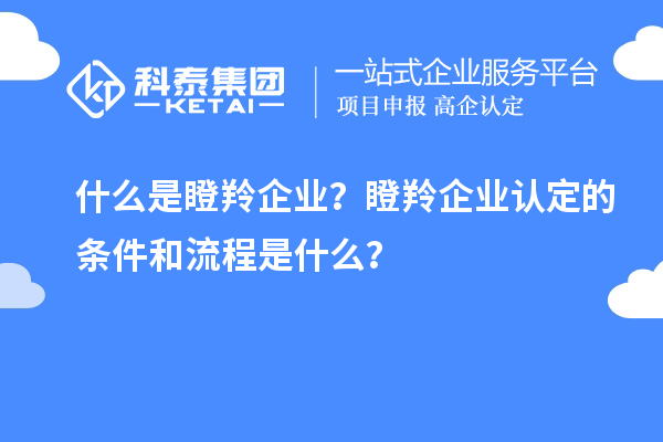 什么是瞪羚企業(yè)？瞪羚企業(yè)認(rèn)定的條件和流程是什么？