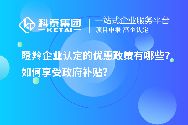 瞪羚企業(yè)認(rèn)定的優(yōu)惠政策有哪些？如何享受政府補(bǔ)貼？