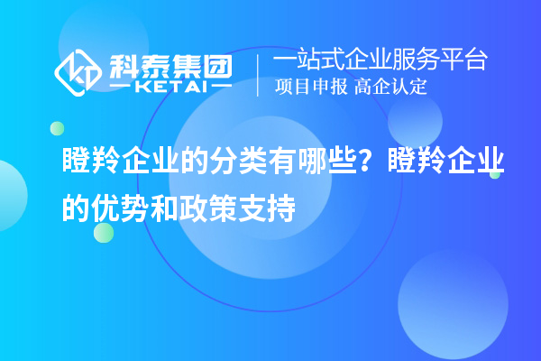 瞪羚企業(yè)的分類(lèi)有哪些？瞪羚企業(yè)的優(yōu)勢(shì)和政策支持