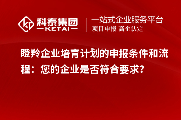瞪羚企業(yè)培育計劃的申報條件和流程：您的企業(yè)是否符合要求？