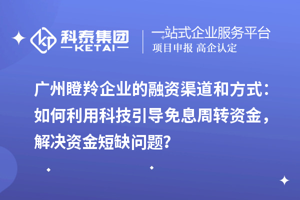 廣州瞪羚企業(yè)的融資渠道和方式：如何利用科技引導(dǎo)免息周轉(zhuǎn)資金，解決資金短缺問(wèn)題？