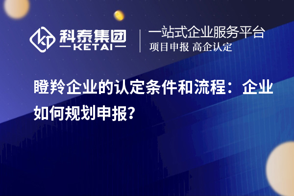 瞪羚企業(yè)的認(rèn)定條件和流程：企業(yè)如何規(guī)劃申報？