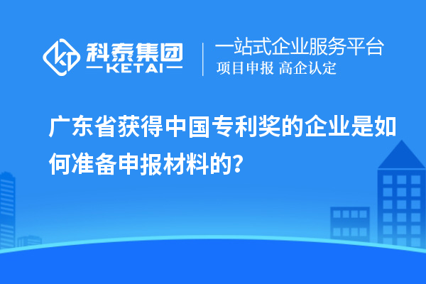 廣東省獲得中國專利獎的企業(yè)是如何準備申報材料的？