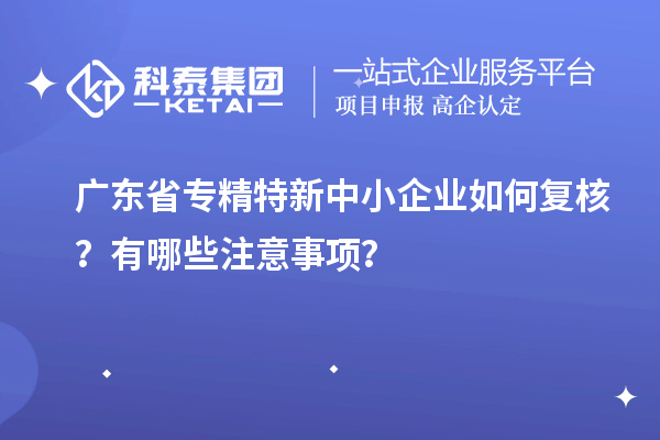 廣東省專精特新中小企業(yè)如何復核？有哪些注意事項？