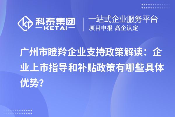 廣州市瞪羚企業(yè)支持政策解讀：企業(yè)上市指導(dǎo)和補(bǔ)貼政策有哪些具體優(yōu)勢？
