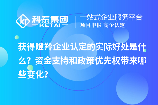 獲得瞪羚企業(yè)認(rèn)定的實際好處是什么？資金支持和政策優(yōu)先權(quán)帶來哪些變化？