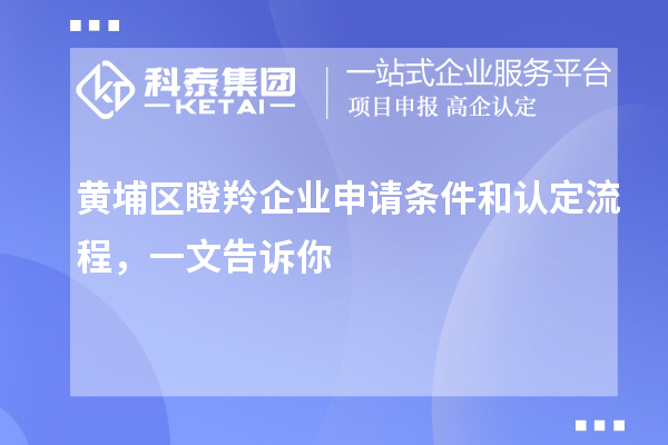 黃埔區(qū)瞪羚企業(yè)申請(qǐng)條件和認(rèn)定流程，一文告訴你