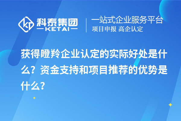 獲得瞪羚企業(yè)認(rèn)定的實(shí)際好處是什么？資金支持和項(xiàng)目推薦的優(yōu)勢(shì)是什么？