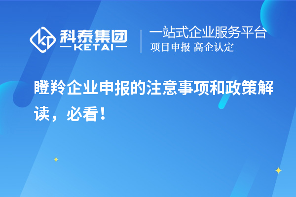 瞪羚企業(yè)申報(bào)的注意事項(xiàng)和政策解讀，必看！