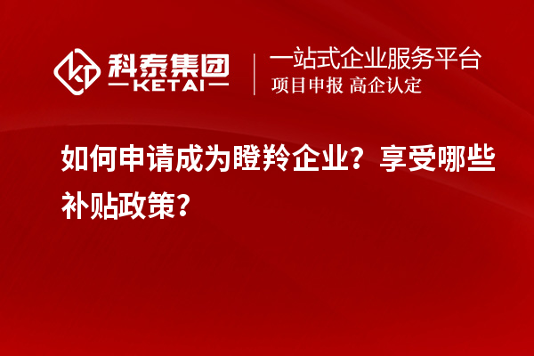 如何申請成為瞪羚企業(yè)？享受哪些補貼政策？