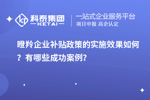 瞪羚企業(yè)補貼政策的實施效果如何？有哪些成功案例？