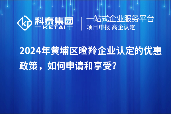 2024年黃埔區(qū)瞪羚企業(yè)認(rèn)定的優(yōu)惠政策，如何申請(qǐng)和享受？