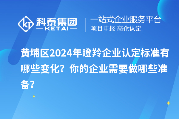 黃埔區(qū)2024年瞪羚企業(yè)認(rèn)定標(biāo)準(zhǔn)有哪些變化？你的企業(yè)需要做哪些準(zhǔn)備？