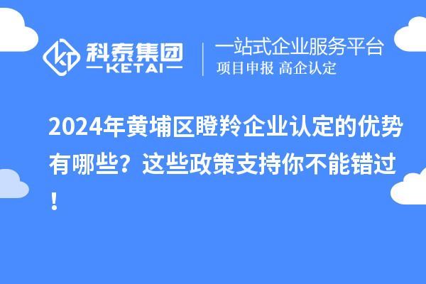 2024年黃埔區(qū)瞪羚企業(yè)認(rèn)定的優(yōu)勢(shì)有哪些？這些政策支持你不能錯(cuò)過(guò)！