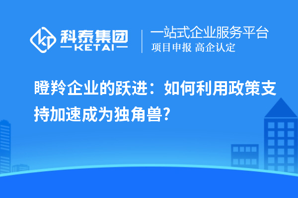 瞪羚企業(yè)的躍進(jìn)：如何利用政策支持加速成為獨(dú)角獸?