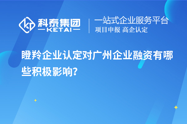 瞪羚企業(yè)認(rèn)定對廣州企業(yè)融資有哪些積極影響？