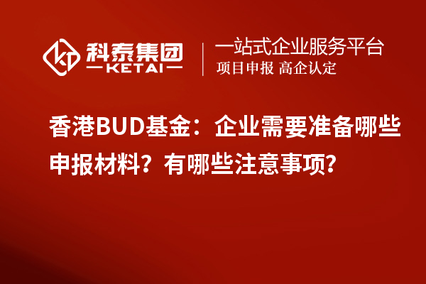 香港BUD基金：企業(yè)需要準(zhǔn)備哪些申報(bào)材料？有哪些注意事項(xiàng)？