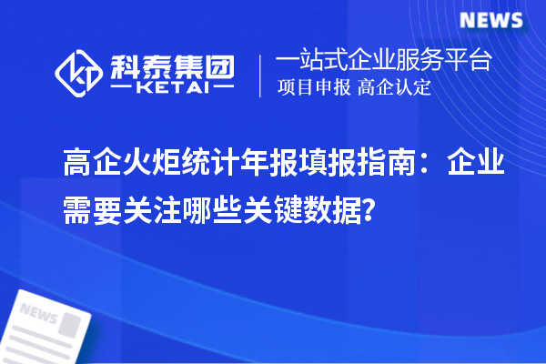 高企火炬統(tǒng)計年報填報指南：企業(yè)需要關(guān)注哪些關(guān)鍵數(shù)據(jù)？