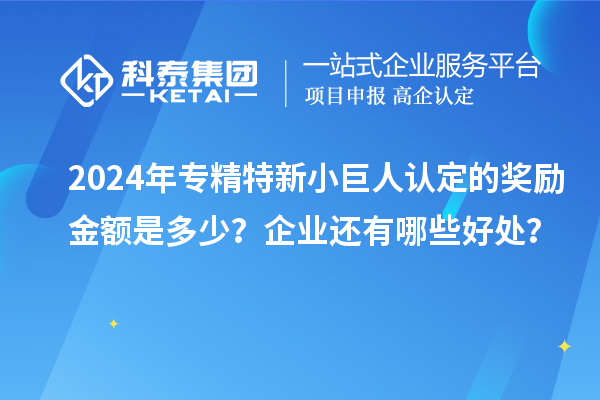2024年專精特新小巨人認(rèn)定的獎(jiǎng)勵(lì)金額是多少？企業(yè)還有哪些好處？