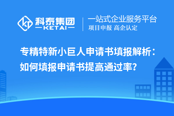 專精特新小巨人申請(qǐng)書填報(bào)解析：如何填報(bào)申請(qǐng)書提高通過(guò)率？