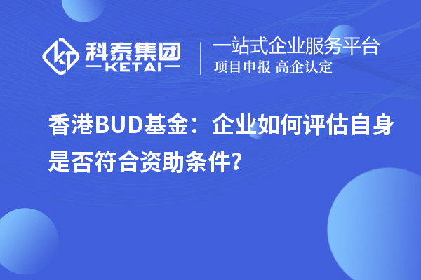 香港BUD基金：企業(yè)如何評估自身是否符合資助條件？