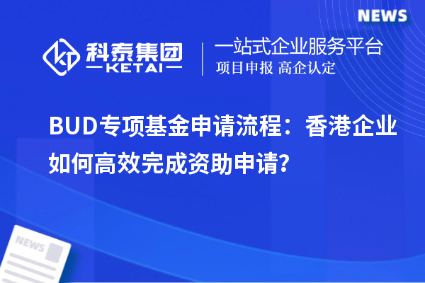 BUD專項(xiàng)基金申請流程：香港企業(yè)如何高效完成資助申請？