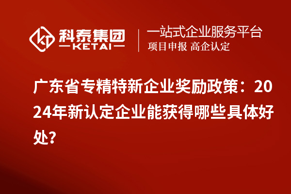 廣東省專精特新企業(yè)獎勵政策：2024年新認定企業(yè)能獲得哪些具體好處？