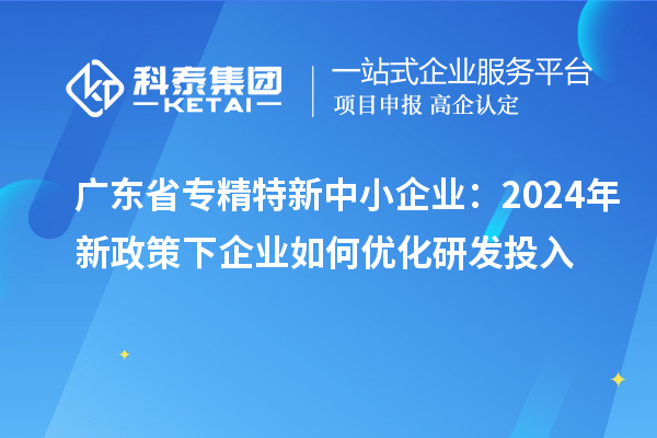 廣東省專精特新中小企業(yè):2024年新政策下企業(yè)如何優(yōu)化研發(fā)投入