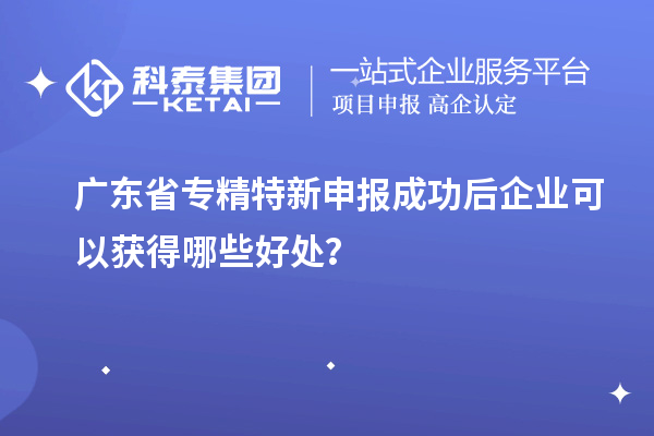 廣東省專精特新申報成功后企業(yè)可以獲得哪些好處？