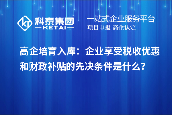 高企培育入庫：企業(yè)享受稅收優(yōu)惠和財政補(bǔ)貼的先決條件是什么？