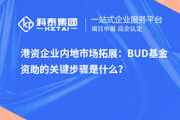 港資企業(yè)內地市場拓展：BUD基金資助的關鍵步驟是什么？