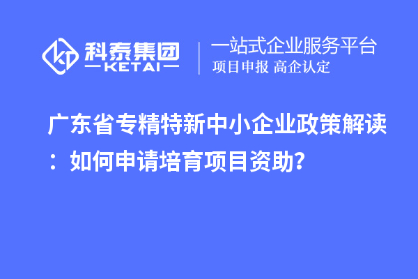 廣東省專精特新中小企業(yè)政策解讀：如何申請培育項目資助？