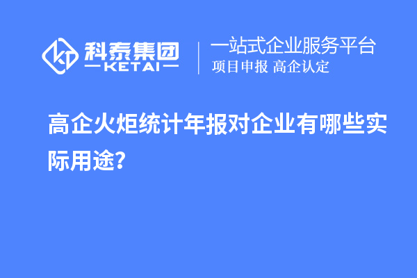 高企火炬統(tǒng)計年報對企業(yè)有哪些實際用途？