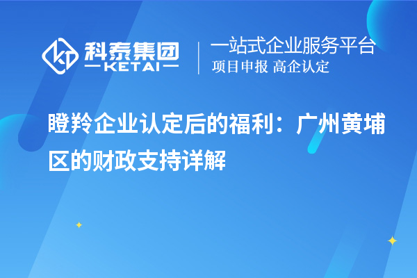 瞪羚企業(yè)認(rèn)定后的福利：廣州黃埔區(qū)的財政支持詳解