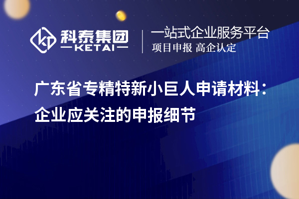廣東省專精特新小巨人申請材料：企業(yè)應(yīng)關(guān)注的申報細節(jié)