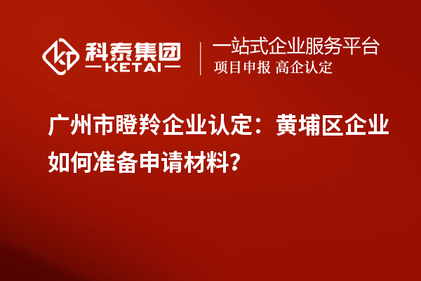 廣州市瞪羚企業(yè)認(rèn)定：黃埔區(qū)企業(yè)如何準(zhǔn)備申請材料？