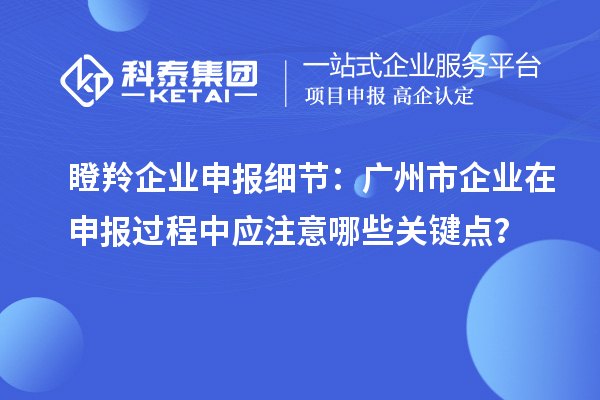 瞪羚企業(yè)申報(bào)細(xì)節(jié)：廣州市企業(yè)在申報(bào)過程中應(yīng)注意哪些關(guān)鍵點(diǎn)？