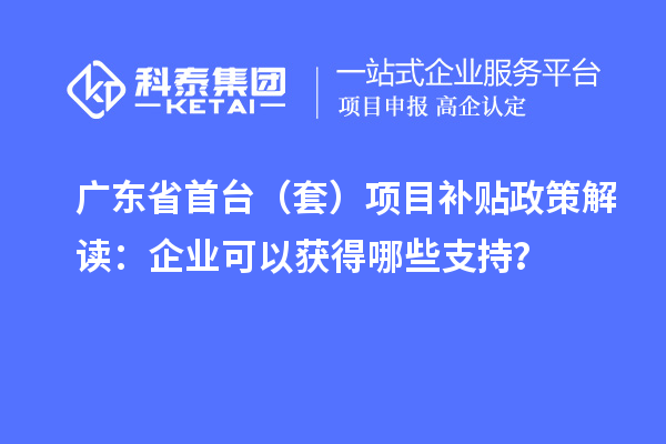 廣東省首臺（套）項目補(bǔ)貼政策解讀：企業(yè)可以獲得哪些支持？