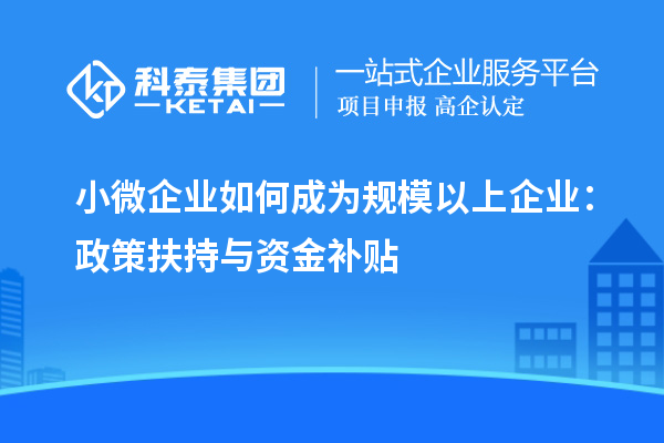 小微企業(yè)如何成為規(guī)模以上企業(yè)：政策扶持與資金補貼