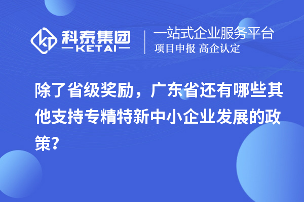 除了省級獎勵，廣東省還有哪些其他支持專精特新中小企業(yè)發(fā)展的政策？
